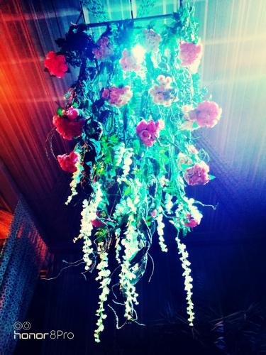 Photos by Imperial Display Counters